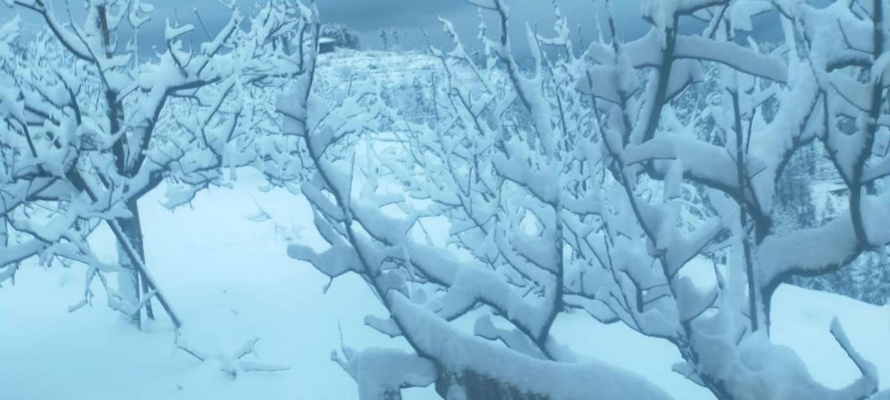 Jomotel Talai Cheog Dış mekan fotoğraf